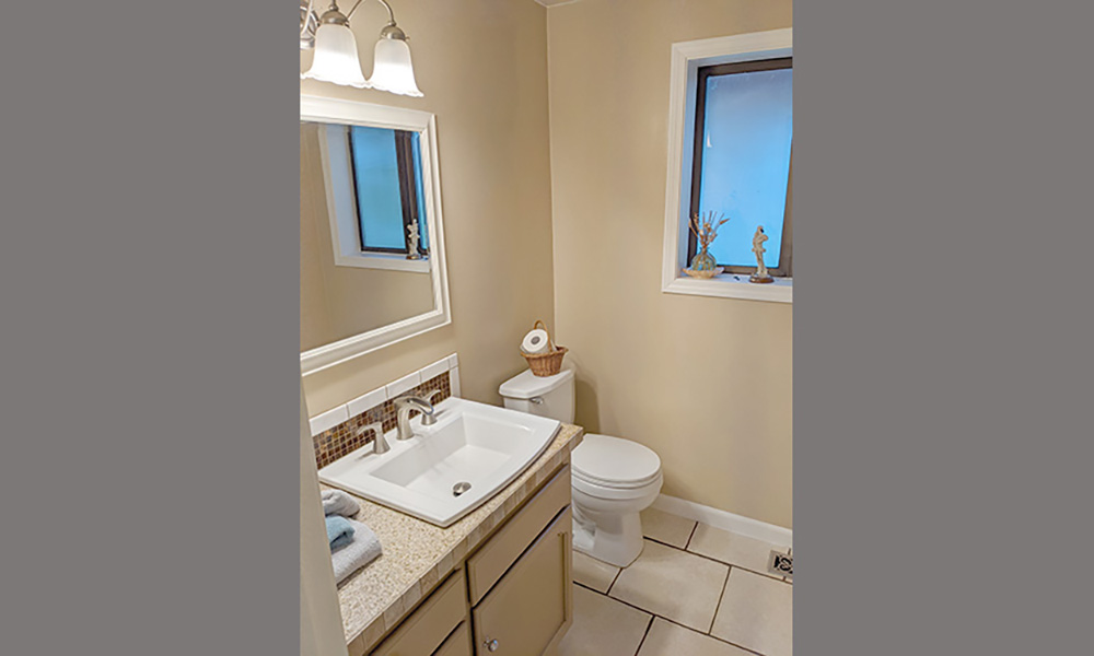 Bath Vanity Area